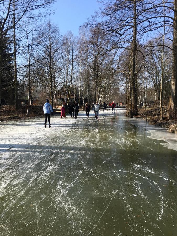 Spree Hotel In Der Altstadt Lübbenau Eksteriør billede